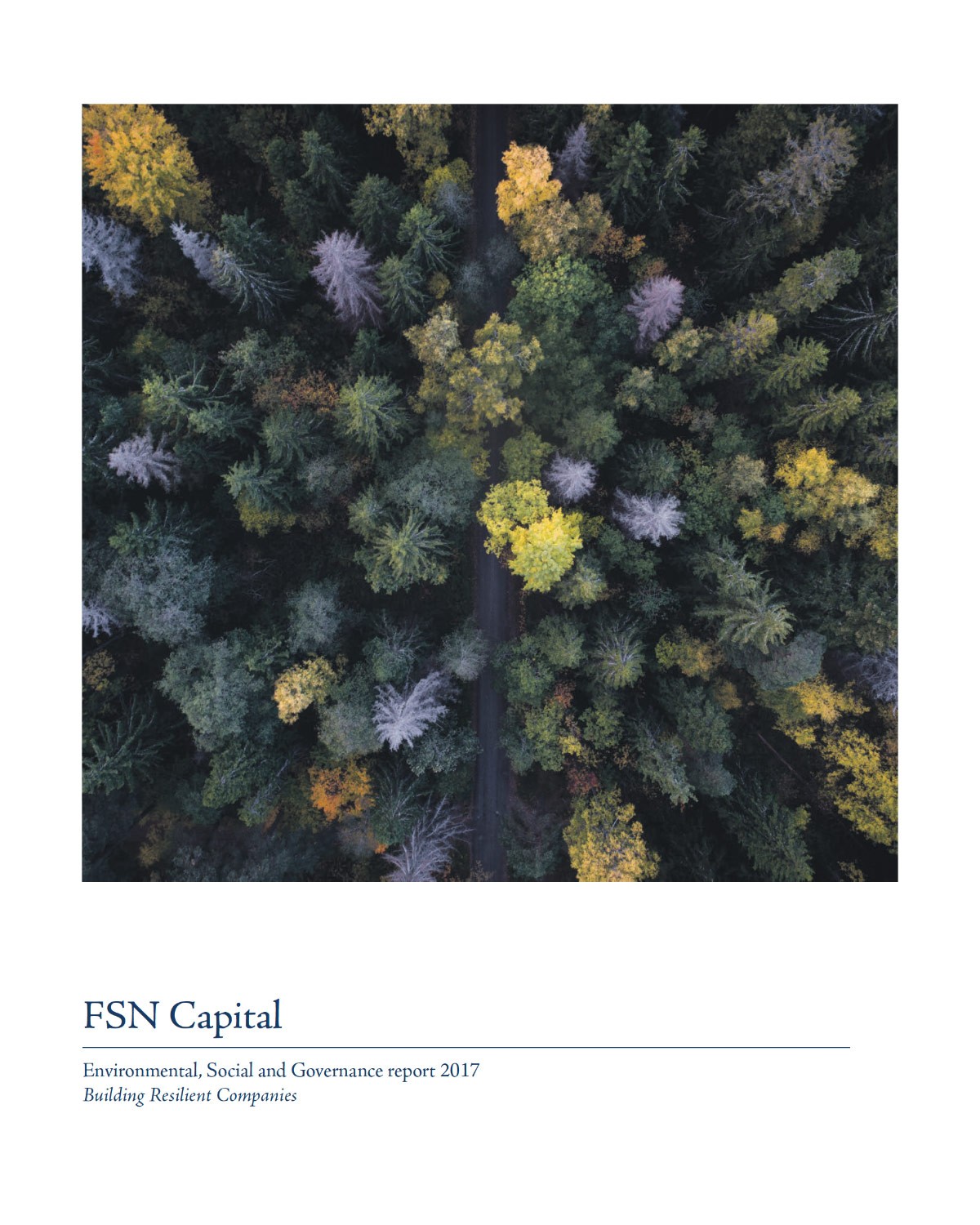 FSN Capital ESG report 2017